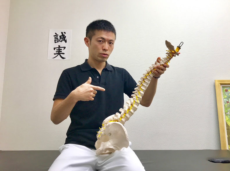 【動画あり】猫背に効果的!たった1分で首と腰を同時に調整するストレッチとは?