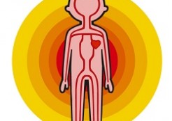 一日たった3粒で血流が良くなる薬のような食べ物とは?